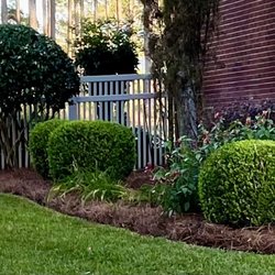 DC Lawn and Landscape