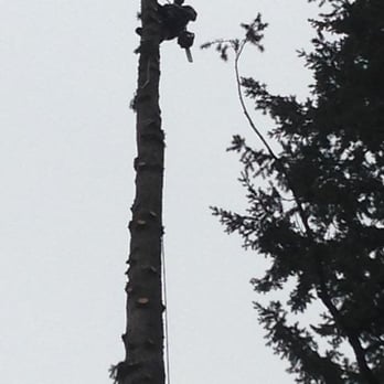 Mike's Pruning and Tree Care - Tree Services Near Me - Portland, Oregon Mike's Pruning and Tree Care - Tree Services Near Me - Portland, Oregon