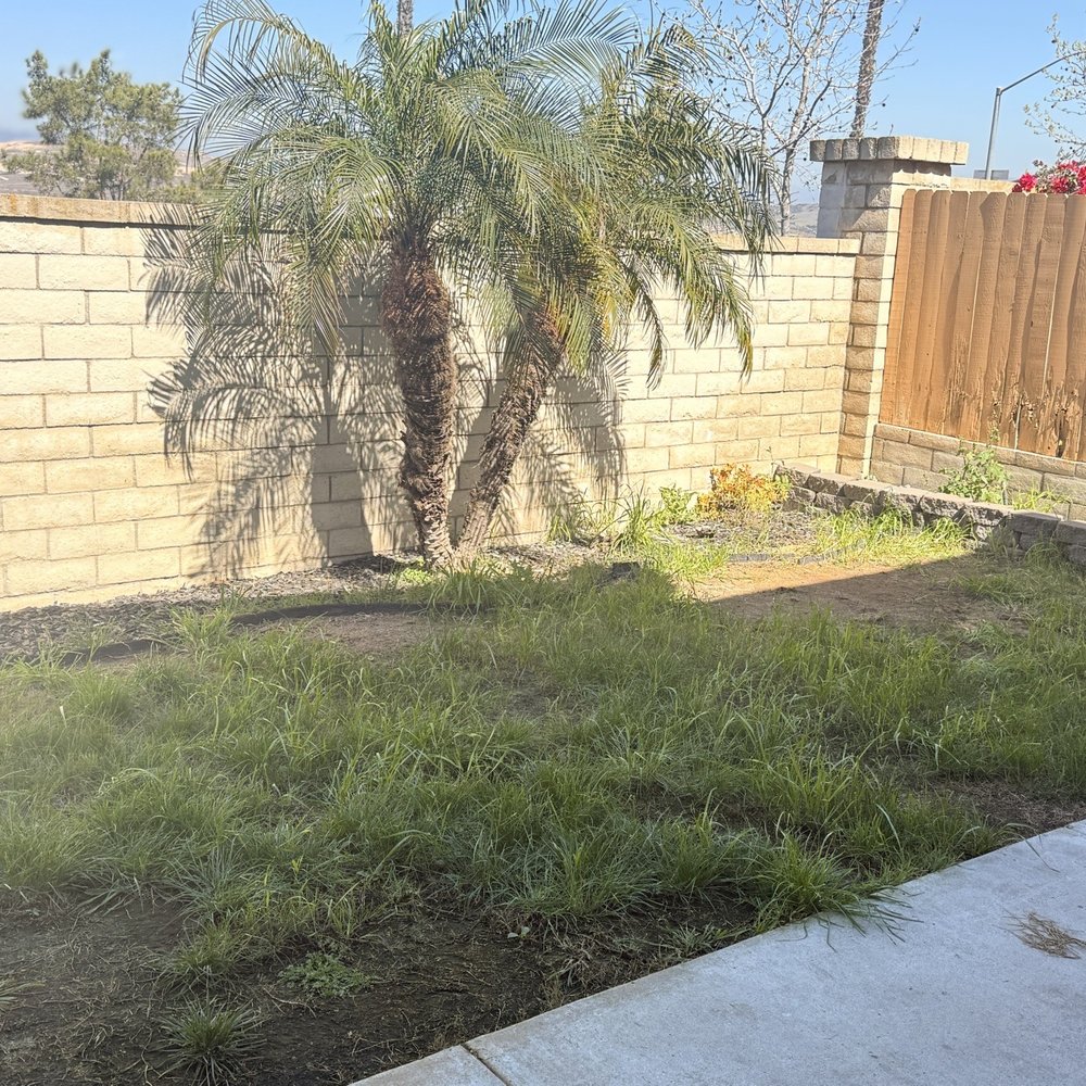 US Turf - Before - Artificial Turf Near Me - San Diego, California US Turf - Before - Artificial Turf Near Me - San Diego, California