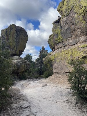 Chiricahua National Monument by null