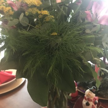 Florist of Covington - All that green and zero flowers back there - Florists Near Me - Covington, Louisiana Florist of Covington - All that green and zero flowers back there - Florists Near Me - Covington, Louisiana