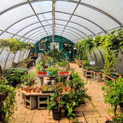 Green Outdoors Landscaping & Nursery