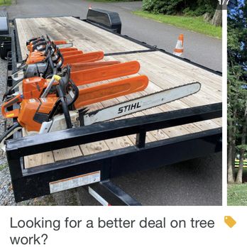 CLIMB AND GRIND - Tree Services Near Me CLIMB AND GRIND - Tree Services Near Me