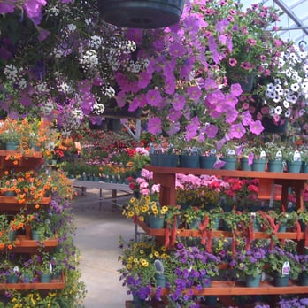 Visser Farms - Amazing plants at Visser's greenhouse! - Nurseries & Gardening Near Me - Edmonton, Alberta Visser Farms - Amazing plants at Visser's greenhouse! - Nurseries & Gardening Near Me - Edmonton, Alberta