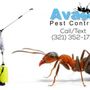 Photo of Avast Pest Control