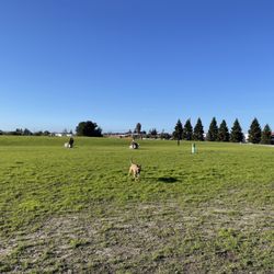 Rocky Memorial Dog Park