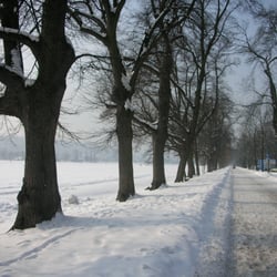 Krakowskie Błonia - Błonia w śniegu