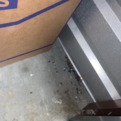 Public Storage - more rat turds we swept up