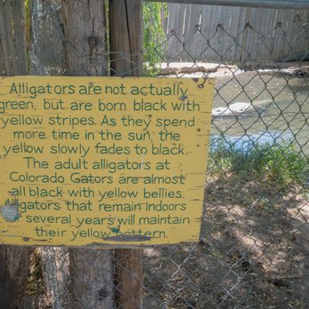 Colorado Gators Reptile Park - Colorado Gators Reptile Park.  Some facts. - Zoos Near Me - Mosca, Colorado