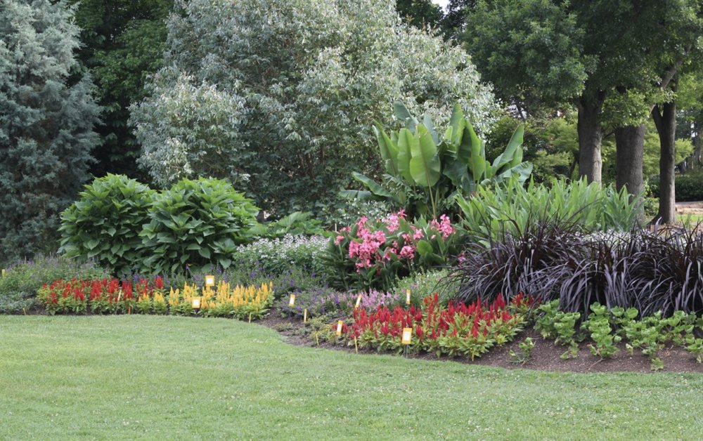 C&J GARDEN SERVICES AND LANDSCAPING Updated June 2024 Los Angeles