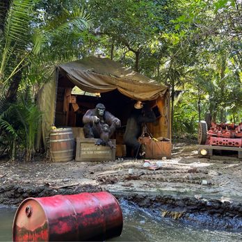 Jungle Cruise - Amusement Parks Near Me - Anaheim, California Jungle Cruise - Amusement Parks Near Me - Anaheim, California