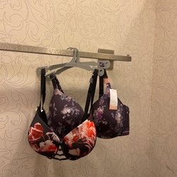 Lane Bryant - Special