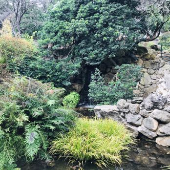 Zilker Botanical Gardens - Japanese garden - Botanical Gardens Near Me - Austin, Texas Zilker Botanical Gardens - Japanese garden - Botanical Gardens Near Me - Austin, Texas