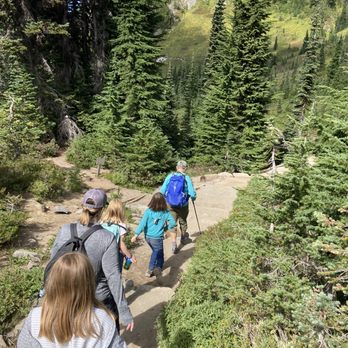 Discover Nature - Skyline Trail - Tours Near Me