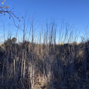Gum Grove Nature Park - Hiking Near Me - Seal Beach, California