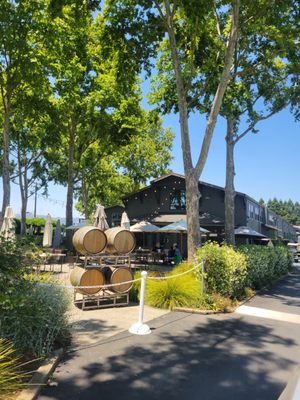 Honig Vineyard & Winery by null