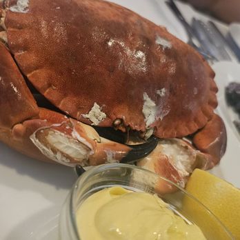 St John Bar and Restaurant - Whole crab w/ mayonnaise - British Near Me - London, XGL
