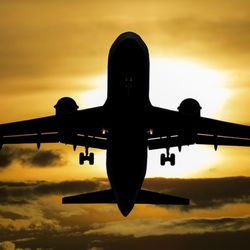 Thomas Transportation - Curbside pick up when you arrive at the airport