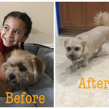 Scenthound - Pet Groomers Near Me - Boynton Beach, Florida Scenthound - Pet Groomers Near Me - Boynton Beach, Florida