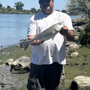 Gotcha Bait & Tackle - Fishing in Rio vista - Sporting Goods Near Me - Antioch, California Gotcha Bait & Tackle - Fishing in Rio vista - Sporting Goods Near Me - Antioch, California