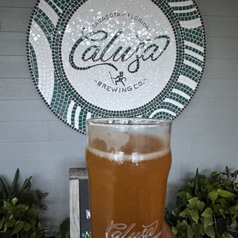 Calusa Brewing - FWD - Beer Bar Near Me - Sarasota, Florida Calusa Brewing - FWD - Beer Bar Near Me - Sarasota, Florida