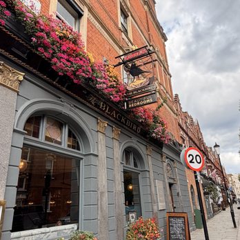 The Blackbird - Exterior and best sign award winner IMO - Pubs Near Me - London, XGL The Blackbird - Exterior and best sign award winner IMO - Pubs Near Me - London, XGL