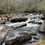 Photo of Gorges State Park