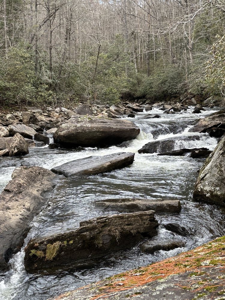 Gorges State Park Logo