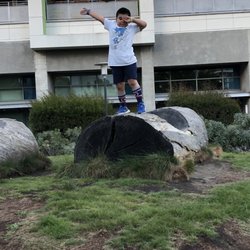 Mission Bay Children's Park - Cool log