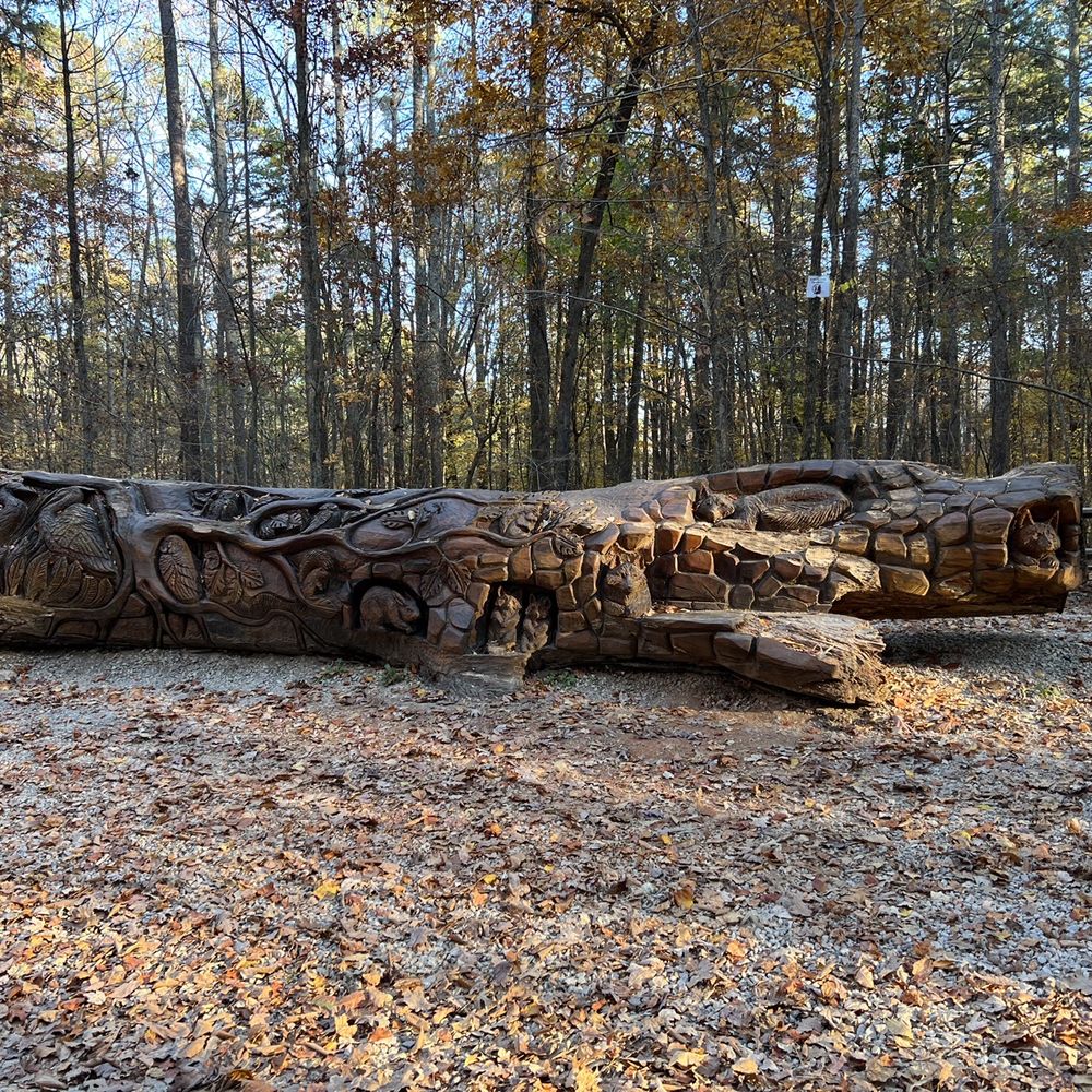 William B Umstead State Park - Log art - Hiking Near Me - Raleigh, North Carolina William B Umstead State Park - Log art - Hiking Near Me - Raleigh, North Carolina