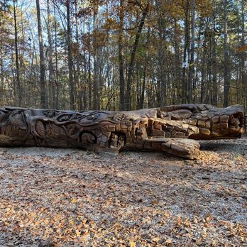 William B Umstead State Park - Log art - Hiking Near Me - Raleigh, North Carolina William B Umstead State Park - Log art - Hiking Near Me - Raleigh, North Carolina