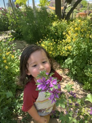 Amarillo Botanical Gardens by null