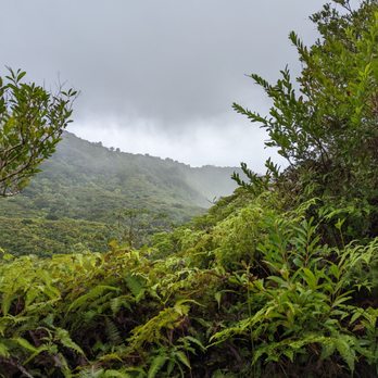 Judd Trail - Hiking Near Me - Honolulu, Hawaii