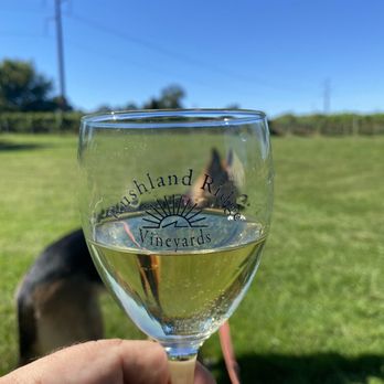 Rushland Ridge Vineyard & Winery - Koda approves - Wineries Near Me - Jamison, Pennsylvania Rushland Ridge Vineyard & Winery - Koda approves - Wineries Near Me - Jamison, Pennsylvania
