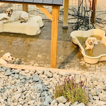 BONES Luxury Boarding - Pet Boarding Near Me