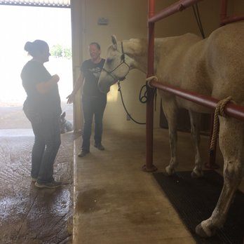 Hondo Veterinary Hospital - Very friendly staff and veterinarians. No question goes unanswered, and not condescending in any manner. - Veterinarians Near Me - Hondo, Texas Hondo Veterinary Hospital - Very friendly staff and veterinarians. No question goes unanswered, and not condescending in any manner. - Veterinarians Near Me - Hondo, Texas