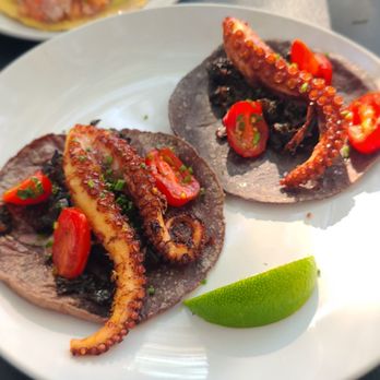 Holbox - Octopus tacos - Latin American Near Me - Los Angeles, California Holbox - Octopus tacos - Latin American Near Me - Los Angeles, California
