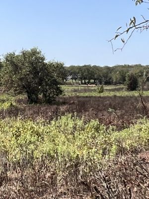 Fort Worth Nature Center & Refuge by null