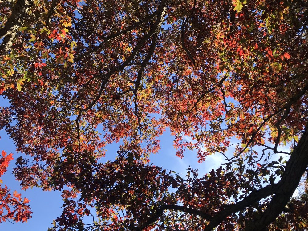 STONEY RUN COUNTY PARK Updated September 2024 34 Photos 9230 E