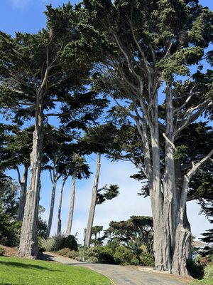 Alamo Square Park by null
