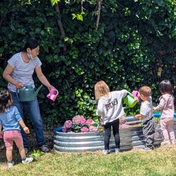 Water And Sunshine Development Center - Backyard organic garden