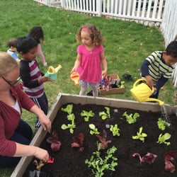 Curious Minds - Happy Earth Day!