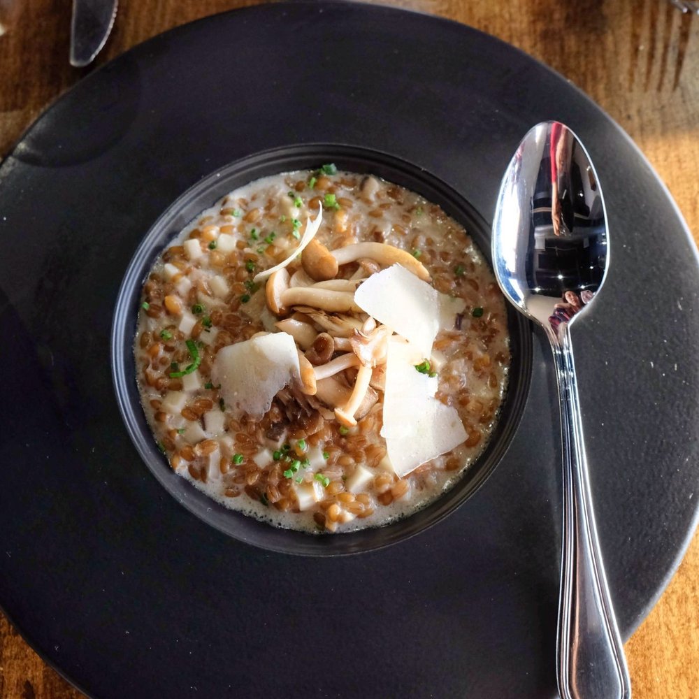 iconiq - Mushroom risotto - French Near Me - Seattle, Washington