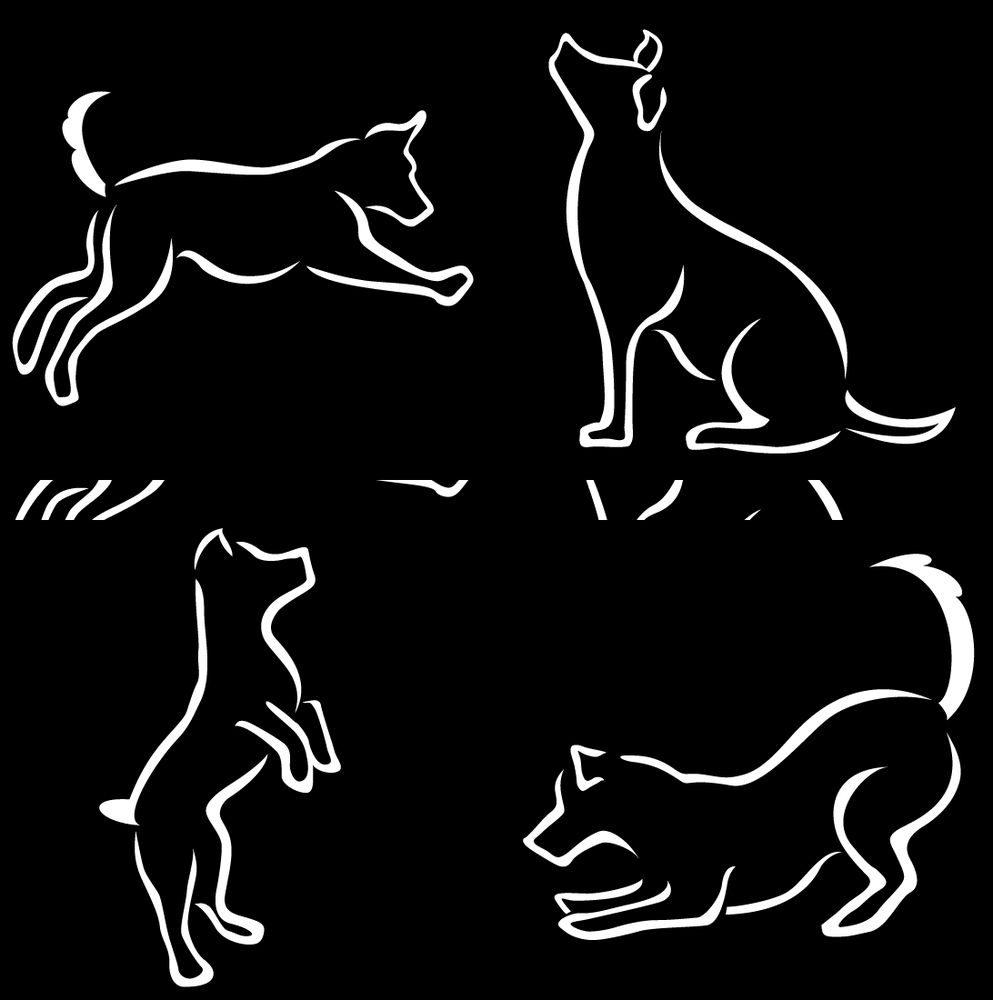 ARIZONA VETERINARY PHYSICAL REHABILITATION 19313 N 73rd Ln, Glendale