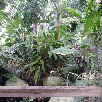 Crystal Bridge - Botanical Gardens Near Me - Oklahoma City, Oklahoma