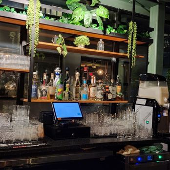 Treehouse Rooftop - Wine Bars Near Me - Washington, DC, District of Columbia
