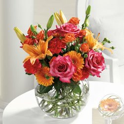 Carter Creations Florist