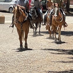 San Diego Horse Connection - Wranglers for the day with Promise2kids