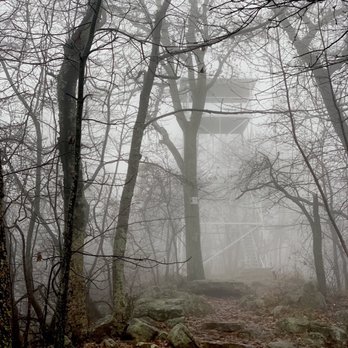 Woodstock Tower - Tower in the fog - Local Flavor Near Me - Fort Valley, Virginia Woodstock Tower - Tower in the fog - Local Flavor Near Me - Fort Valley, Virginia