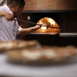Tony's of North Beach